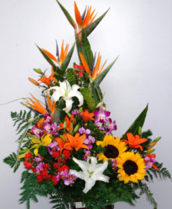 Primaveral para Dama - Flores, Floreria, Floristeria