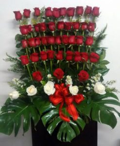 48 Rosas - Flores, Florería, Floristería