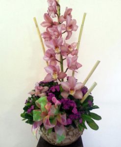 Orquídea Cambidium - Flores, Florería, Floristería