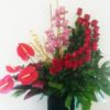 Exótico con Orquidea, Anturios y Rosas - Flores, Florería, Floristería