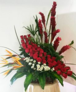 Exótico con Rosas, Aves y Ginger - Flores, Florería, Floristería