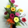 Arreglo con 10 Gerberas - Flores, Florería, Floristería