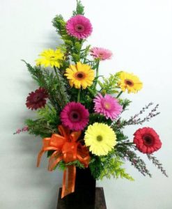 Arreglo con 10 Gerberas - Flores, Florería, Floristería