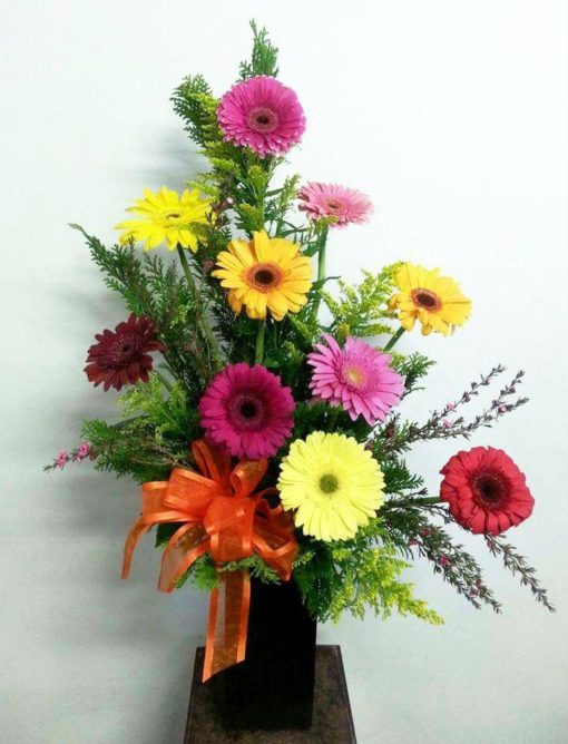 Arreglo con 10 Gerberas - Flores, Florería, Floristería