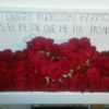 100 Rosas en Caja de Madera - Flores, Florería, Floristería