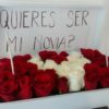 Caja con 36 Rosas - Flores, Florería, Floristería