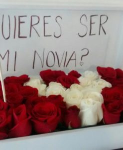 Caja con 36 Rosas - Flores, Florería, Floristería