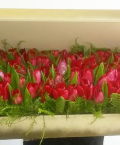 100 Tulipanes en Caja - Flores, Florería, Floristería