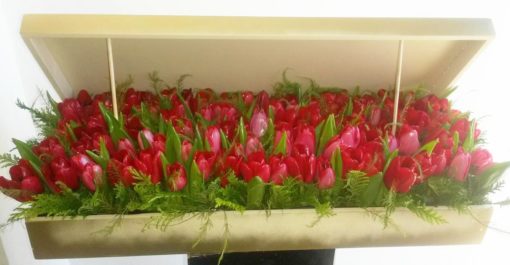 100 Tulipanes en Caja - Flores, Florería, Floristería