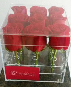 Caja Acrílica con 9 Rosas - Flores, Florería, Floristería