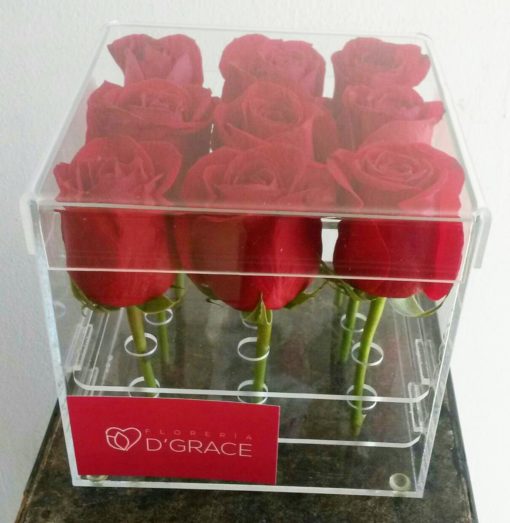 Caja Acrílica con 9 Rosas - Flores, Florería, Floristería