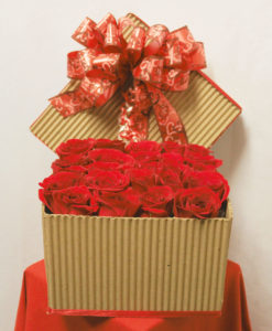 Caja con 24 Rosas - Flores, Florería, Floristería