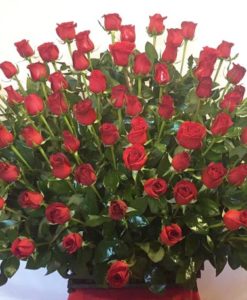 Canasta de 100 Rosas - Flores, Florería, Floristería