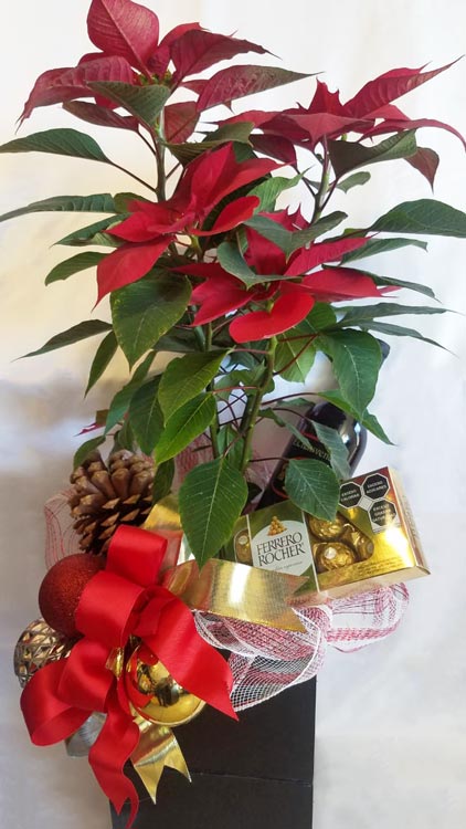 Nochebuena con Chocolates y Vino - Florería D'Grace
