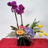 Orquídea Doble con Gerberas y Tulipanes - Flores, Florería, Floristería