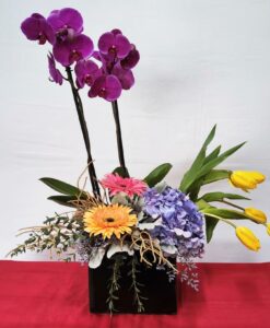 Orquídea Doble con Gerberas y Tulipanes - Flores, Florería, Floristería