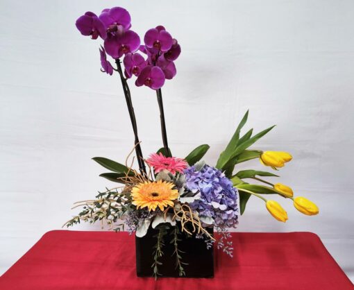 Orquídea Doble con Gerberas y Tulipanes - Flores, Florería, Floristería